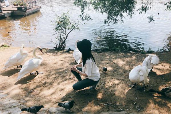 朝鲜球迷-乐鱼app(leyu)官方网站-乐鱼官网