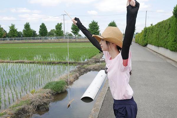 马特乌斯克林斯曼