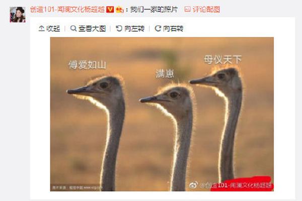 西班牙vs尼日利亚-爱游戏app（中国）官方网站下载_ayx体育app下载