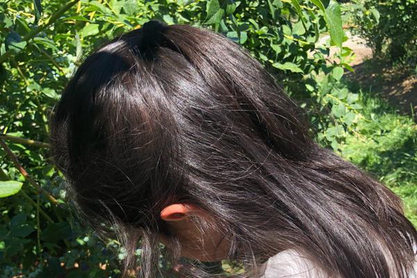 德甲球队分布图