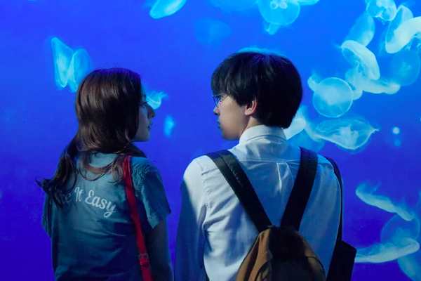 贝氏弧线-乐鱼app(leyu)官方网站-乐鱼官网