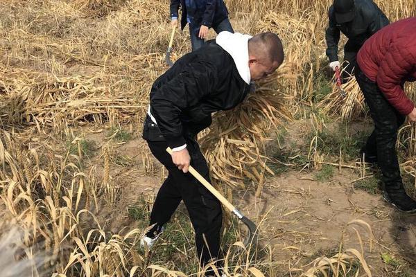 阿根廷国家队球衣-九游体育(JIUYOU)官方网站-APP下载官网入口