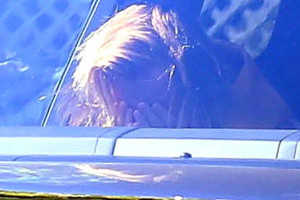 建业足球-乐鱼app(leyu)官方网站-乐鱼官网