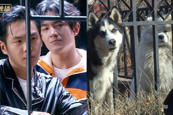 湖南风云直播-乐鱼app(leyu)官方网站-乐鱼官网