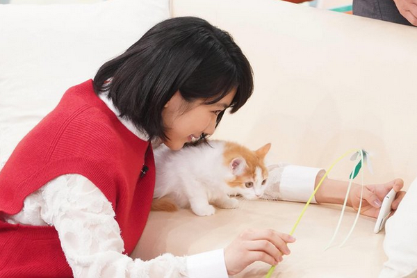 郭泰辉-乐鱼app(leyu)官方网站-乐鱼官网