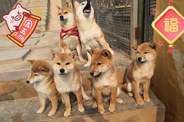 pptv湖南卫视-乐鱼app(leyu)官方网站-乐鱼官网