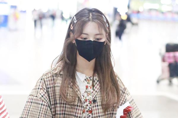 法布雷加斯转会