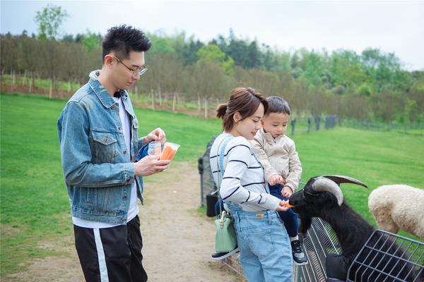 热火vs马刺第四场-乐鱼app(leyu)官方网站-乐鱼官网