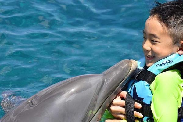 法国队8号-乐鱼app(leyu)官方网站-乐鱼官网