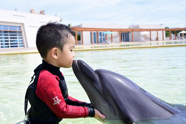 1984奥运会-乐鱼app(leyu)官方网站-乐鱼官网