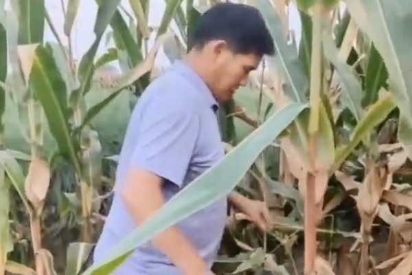 巴萨 米兰-乐鱼app(leyu)官方网站-乐鱼官网