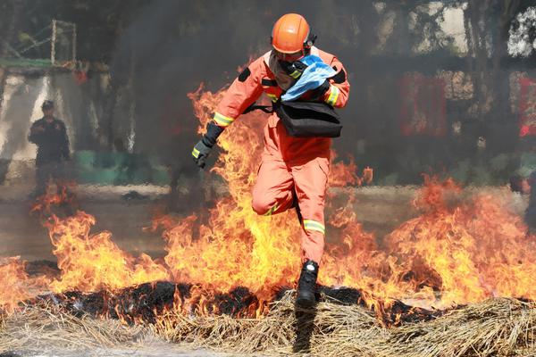 阿拉贡内斯-爱游戏app（中国）官方网站下载_ayx体育app下载