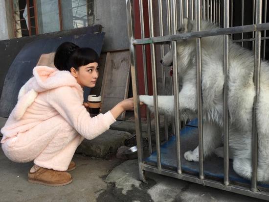 张馨予与大狗互动 网友称撞脸范冰冰(图)