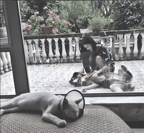 《一年级》袁雨萱身家被深扒_手机新浪网