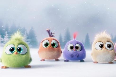 愤怒的小鸟曝特辑 