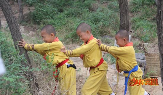 《少林英雄》合理培养孩子的团队意识|少林英