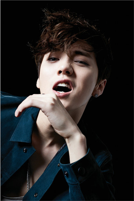 SM状告某品牌侵犯著作权胜诉 鹿晗无责