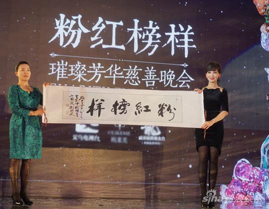 赵雅芝任慈善大使