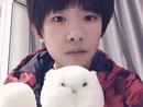 TFBOYS易烊千玺玩小熊