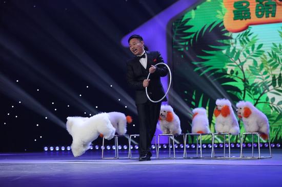 朱丹挑战cosplay 训狗技能大爆发|CCTV家庭