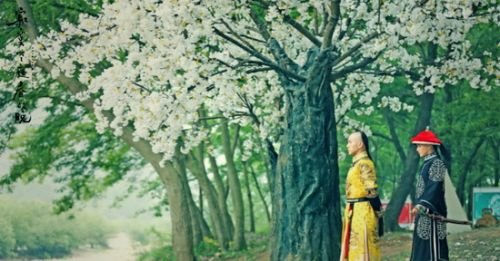 《寂寞空庭春欲晚》刘恺威