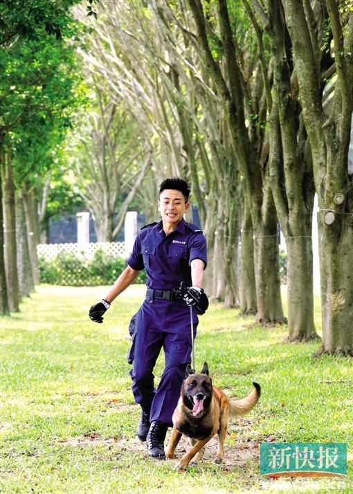 《警犬巴打》黄宗泽钟嘉欣携手出演情侣|钟嘉