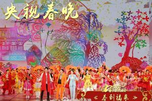 央视春晚观众调查：赵薇杨洋节目好评集中