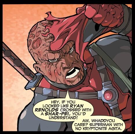 “我看上去就像瑞安·雷诺兹和沙皮狗的杂交。”