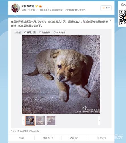 大鹏微博