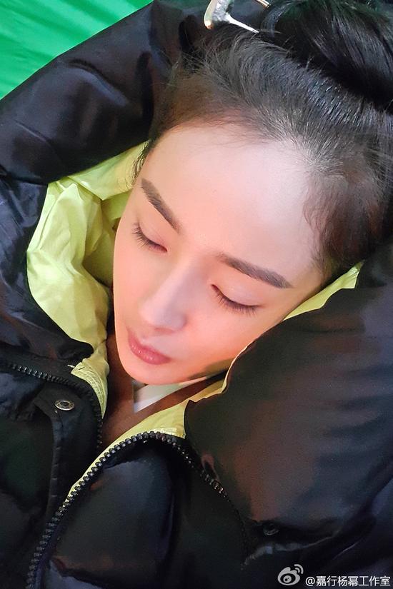 庆微博粉丝过6千万 工作室晒杨幂美照|杨幂|睡
