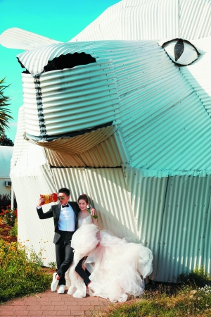 吴奇隆才俏皮清新!儿童节求婚巴厘岛办婚|吴奇