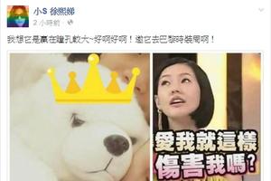 小S人气惨败白熊 恼羞：邀它去时装周啊