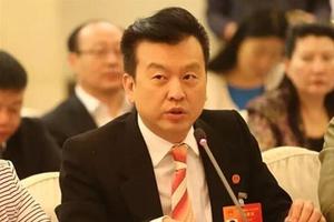 央视主持张泽群辟谣称两会发言被歪曲