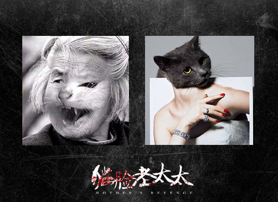 网友ps的猫脸