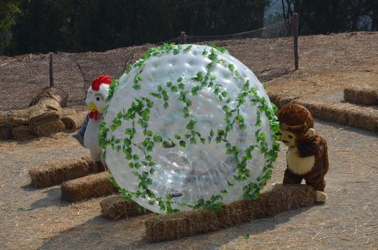 “白菜山谷”环节于月仙扮演的“猴嗨森”推球