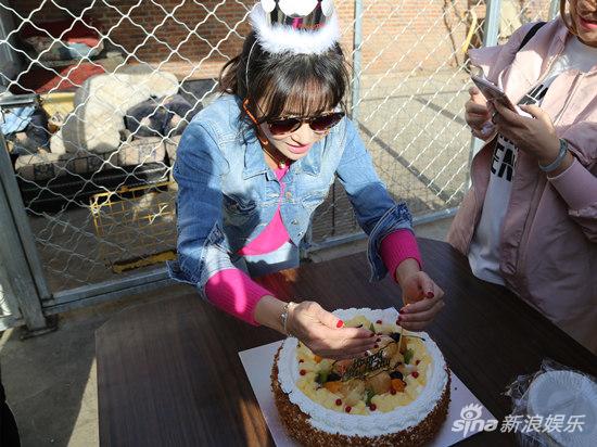 陈紫函与义工和狗狗们度过生日