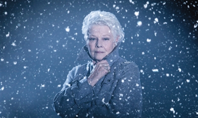 朱迪·丹奇凭借莎士比亚晚期作品《冬天的故事》获得第40届英国戏剧奥利弗奖最佳女配角。