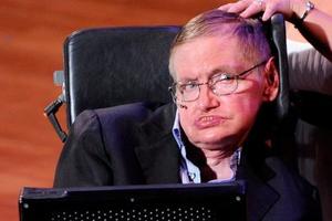 著名物理学家霍金开微博 网友赞比锦鲤强