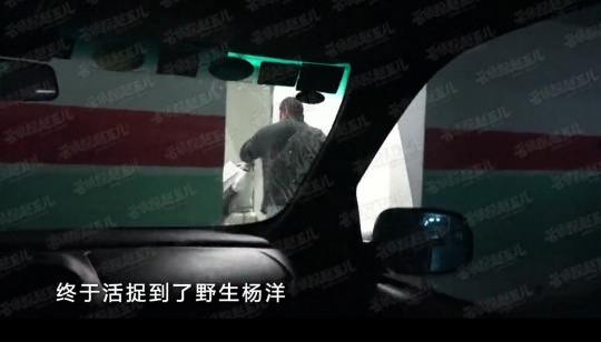 网曝杨洋数次出入宋茜住所