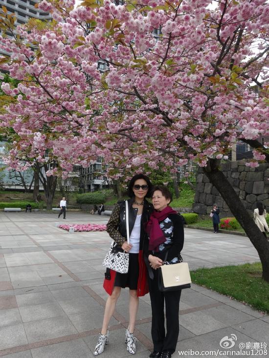 刘嘉玲与妈妈赏樱花