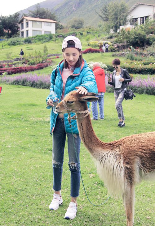 金晨《花姐2》解放天性 变身二次元少女汉|花样