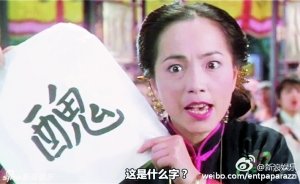 苑琼丹凭“石榴姐”一角打响名气