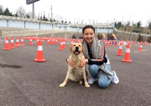 孙茜与导盲犬
