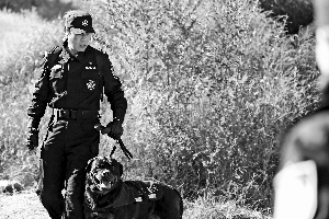 《警花与警犬》（