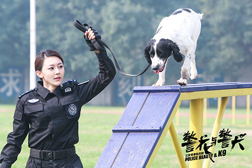 《警花与警犬》开播 黄梦莹变训犬警花|侯梦莎