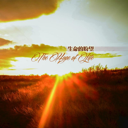 《生命的盼望》