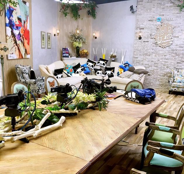 《女神》10强入住百万城堡 开始直播生活|王思