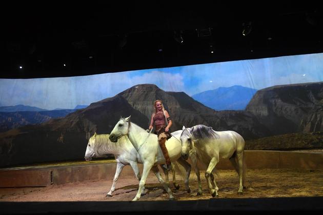 《Cavalia•舞马》