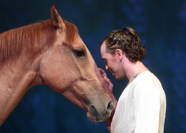 《Cavalia•舞马》