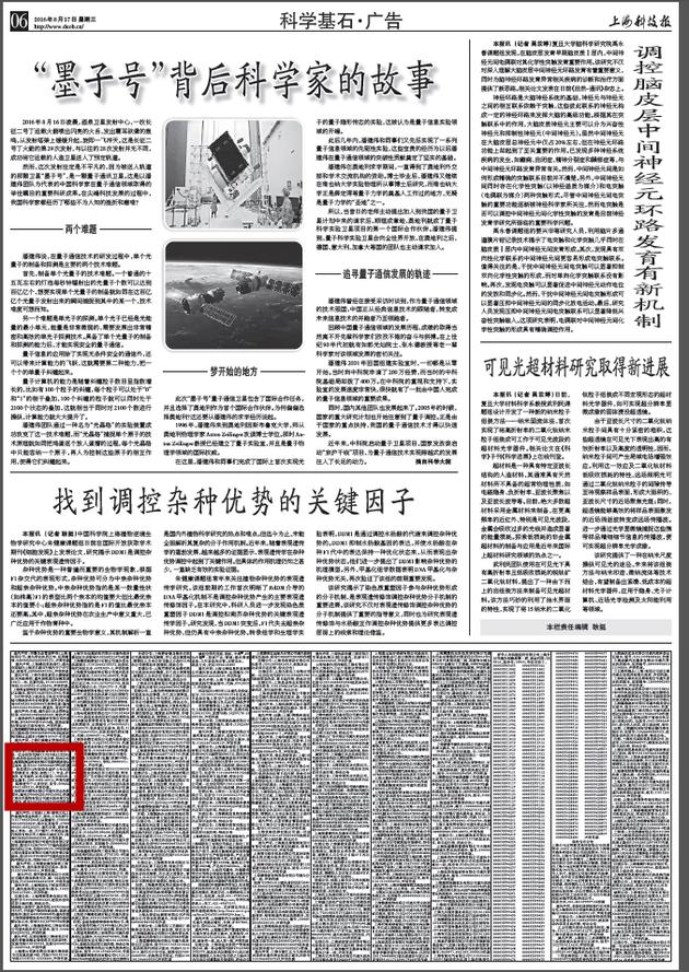 王宝强挂失公司公章?律师:为恢复控制权|王宝强